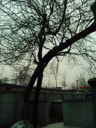 5a6d7e57gd703ec08ef5b&690