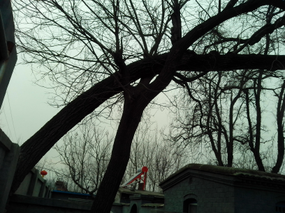 5a6d7e574d703668737fb&690