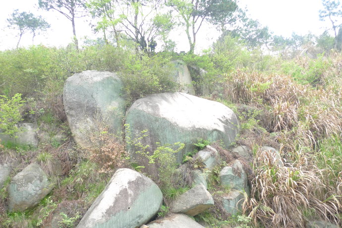 5a6d7e57gd99d4fcb36bf&690