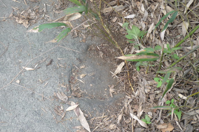 5a6d7e57gd99d5c2a7e28&690