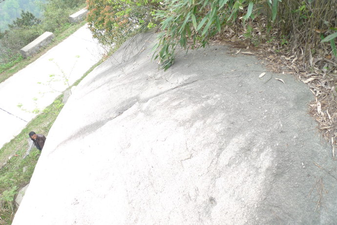 5a6d7e57gd99d61a9df57&690