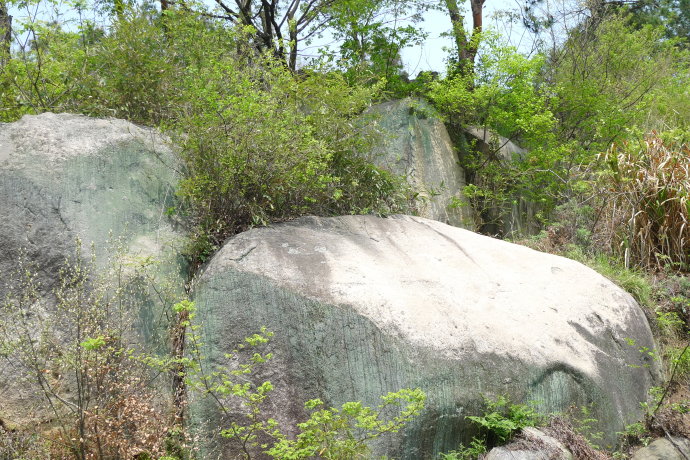 5a6d7e57gd99d6bad4454&690