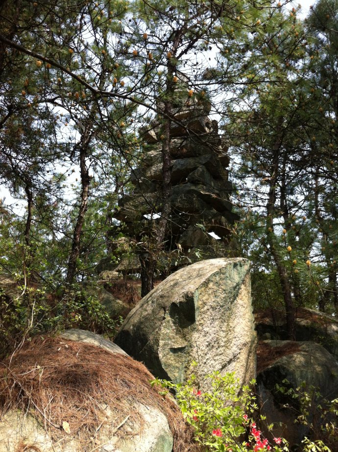 5a6d7e57g7c295ff61c22&690