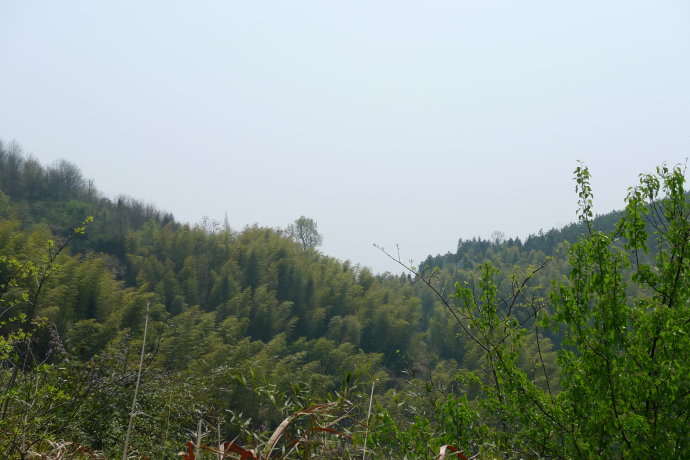 5a6d7e57g7c29617700bd&690