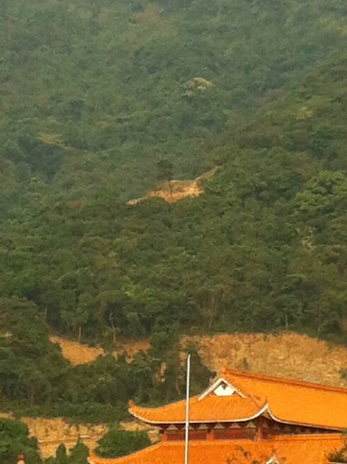 001EFHzpgy6YsJGNfDE4e