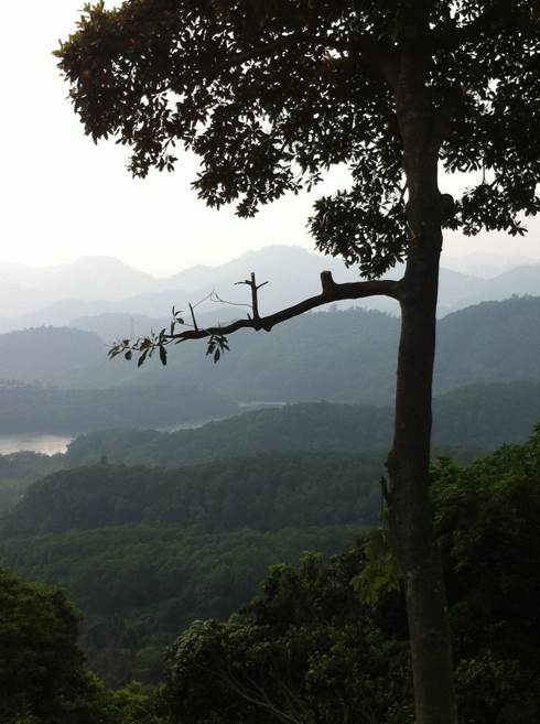 5a6d7e574daabb18a80bd&690