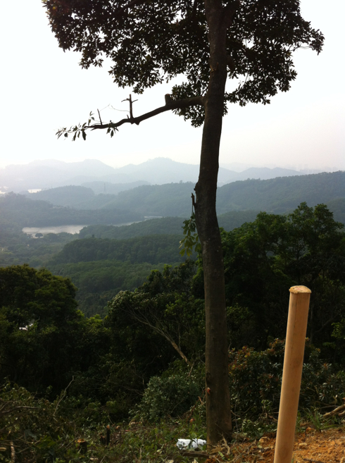 5a6d7e574daabb67d4aba&690