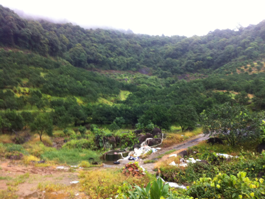 5a6d7e574e21a47b9cc24&690