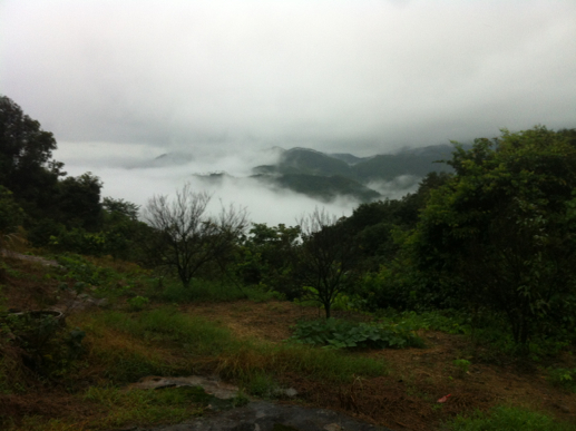 5a6d7e574e21a48ddc8a5&690