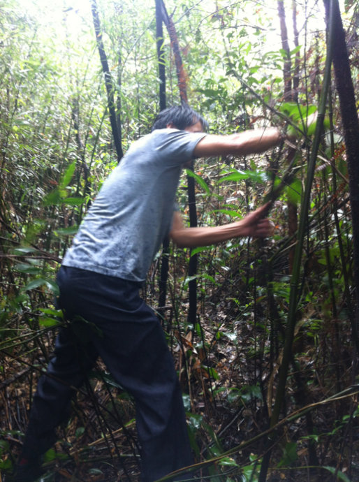 5a6d7e574e21a49eac84a&690