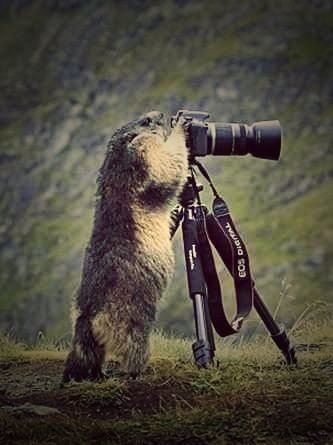 003by1Rqty6H2tLc2FN17&690