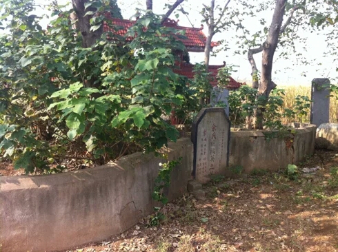 001EFHzpgy6YsSj61u78f