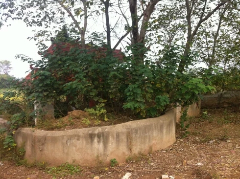 001EFHzpgy6YsSjdG4Rdd