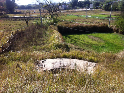 001EFHzpzy6OtiArBvm94&690