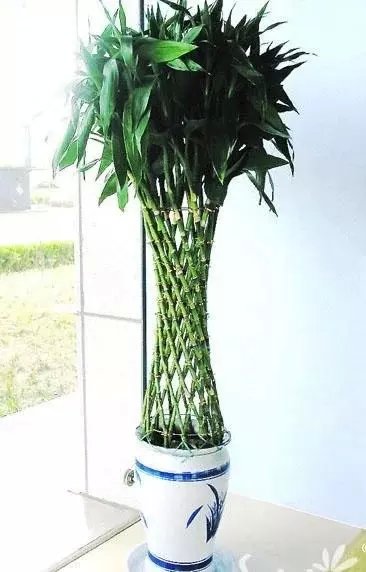 001EFHzpgy6UXLsA1g86c&690