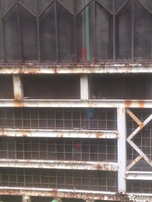 001EFHzpzy6T0PYQIcT0f&690