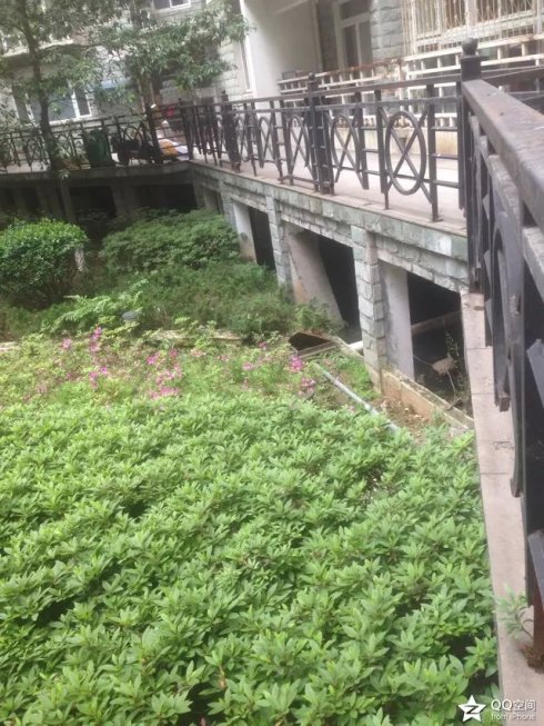 001EFHzpzy6T0Q0L3psbe&690