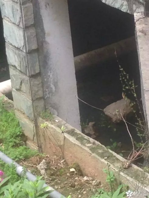 001EFHzpzy6T0Q5cMRCac&690