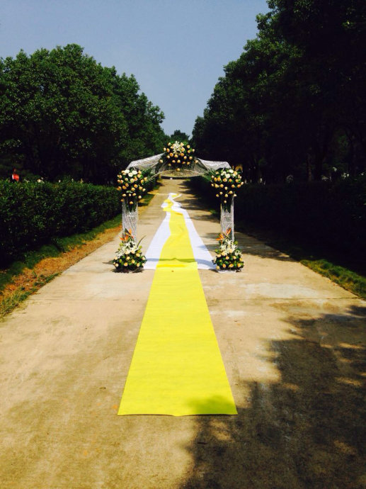 001EFHzpgy6W7QlzE4G3a