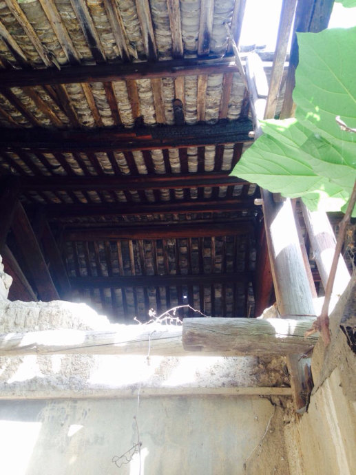 001EFHzpgy6W7GuBeoy62