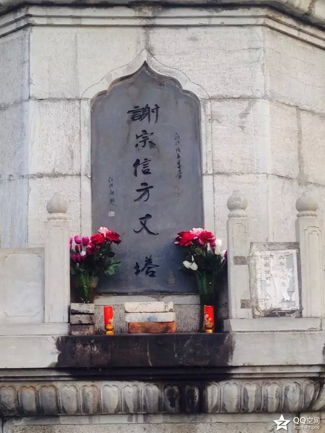 001EFHzpgy6V3Qkdses88&690