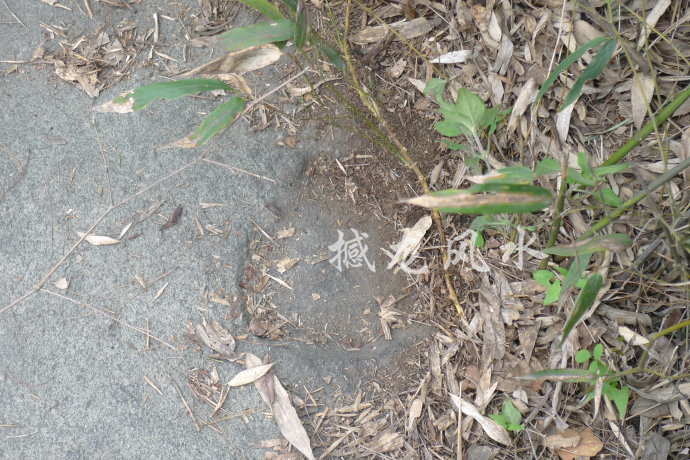 001EFHzpgy6WiA6kujyf4&690