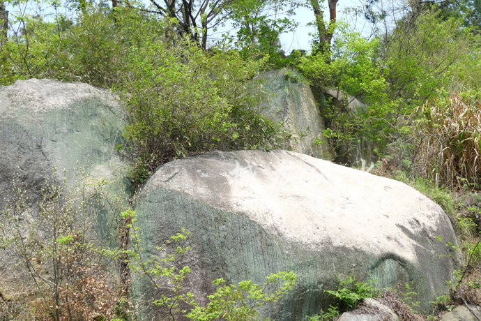 001EFHzpgy6WiA4ZZJz55&690