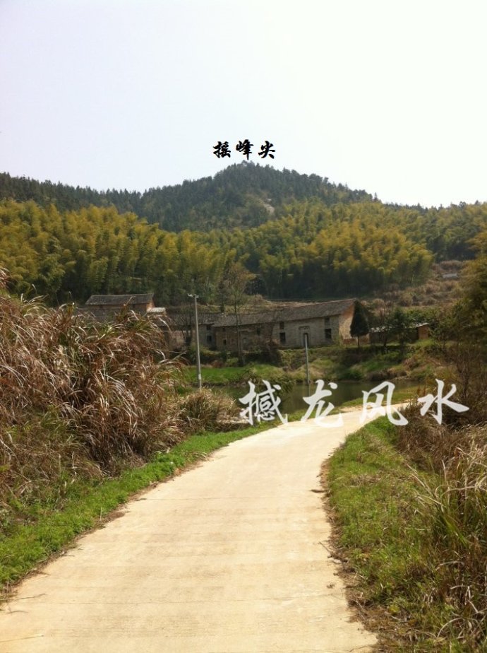 001EFHzpgy6WhcWAuuV35&690