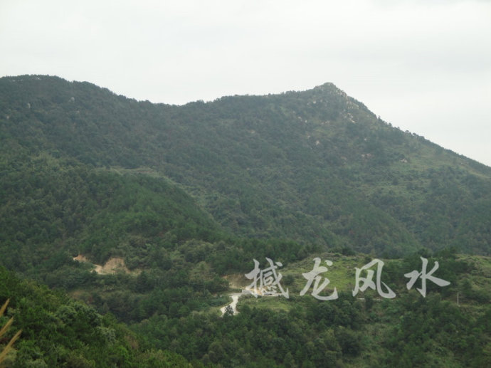 001EFHzpgy6Wh9sDnI8b4&690