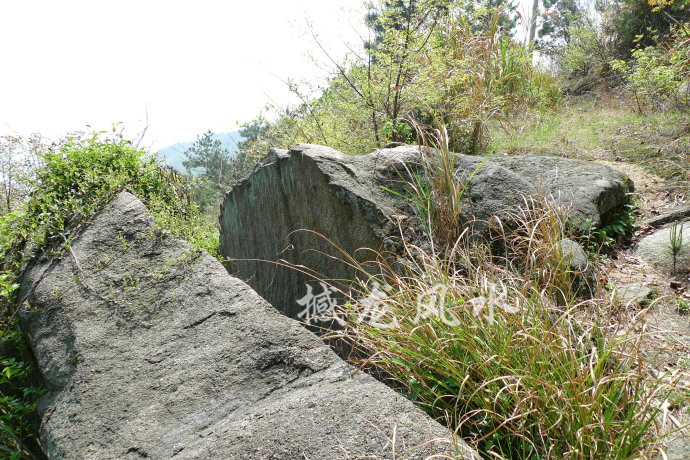 001EFHzpgy6Wh5oS3G5ad&690