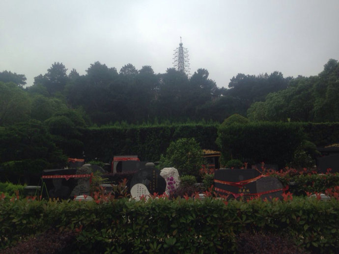 001EFHzpgy6X31zV43052