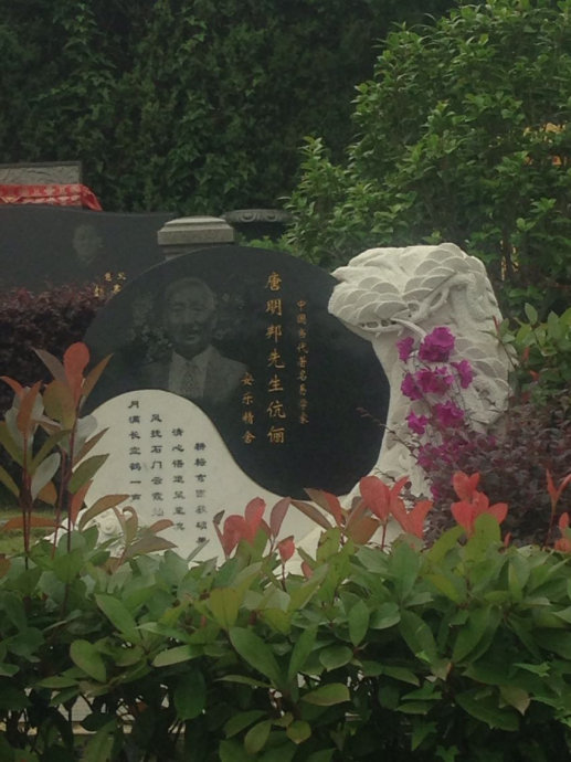 001EFHzpgy6X31Jkqzw52