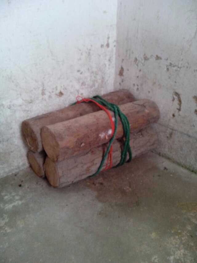 001EFHzpgy6Yu0TTbsQ60