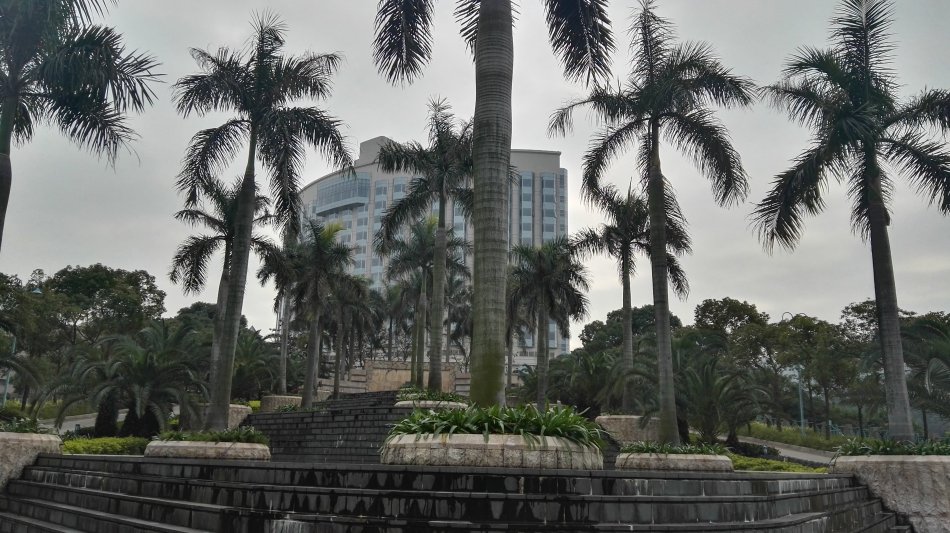 001EFHzpgy6YcWkpL6x89