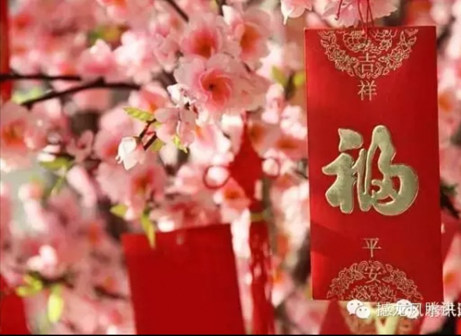 001EFHzpgy6ZiPnzhnqe8