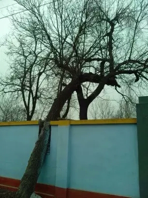 001EFHzpgy6YJVvZi2T23