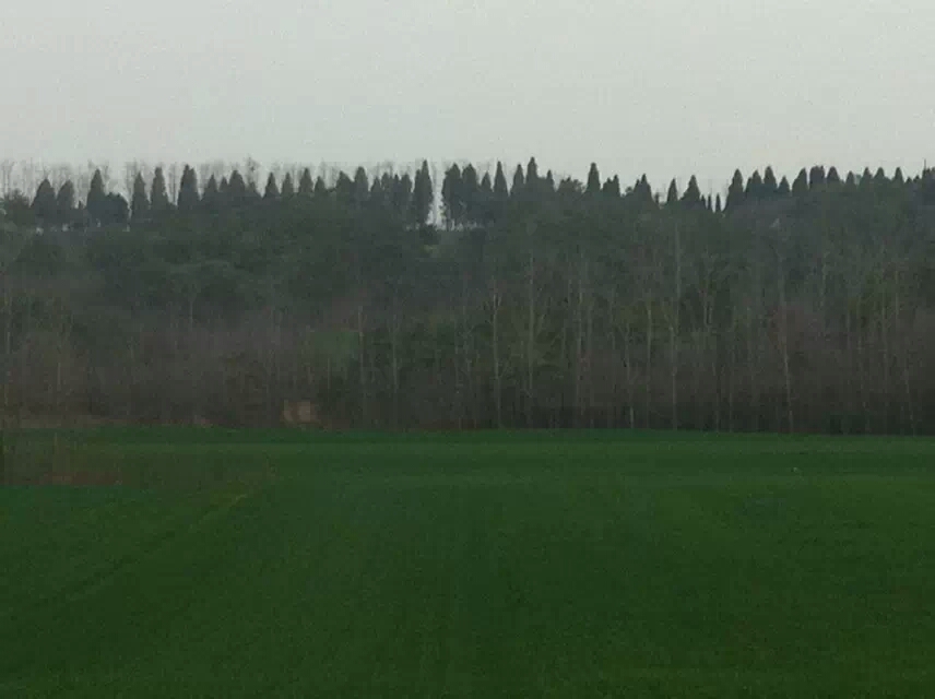 001EFHzpgy6YJVweZhSf8