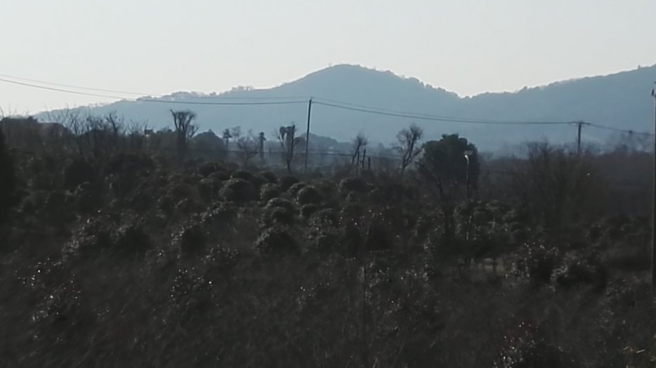 001EFHzpzy6ZpRuPUVU4e