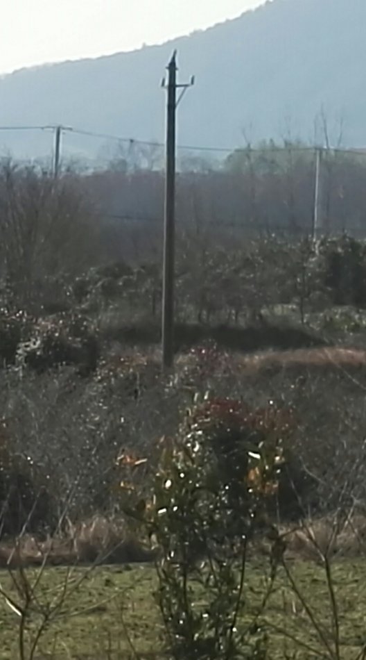 001EFHzpzy6ZpRv4bjcc2