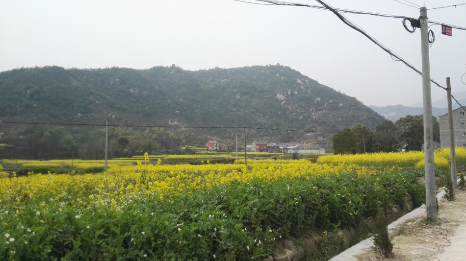 001EFHzpgy70jZjheiJ89