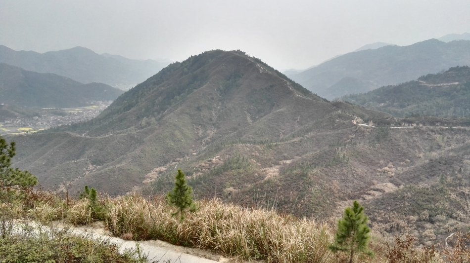 001EFHzpgy70jZlW9iZ5d