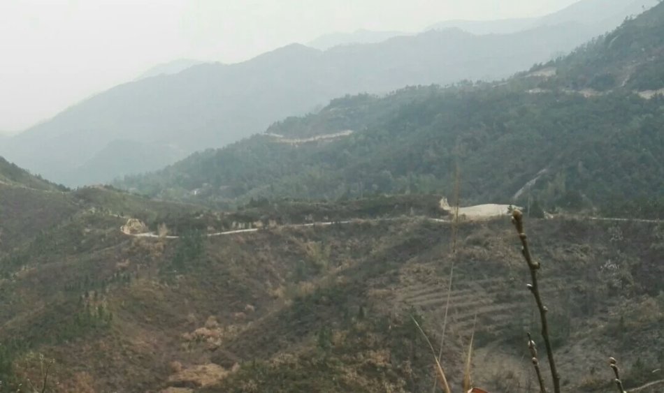 001EFHzpty70pJlCgQUd0