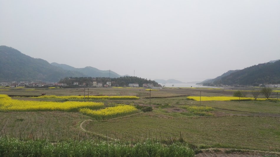 001EFHzpgy70jZmobc3d7