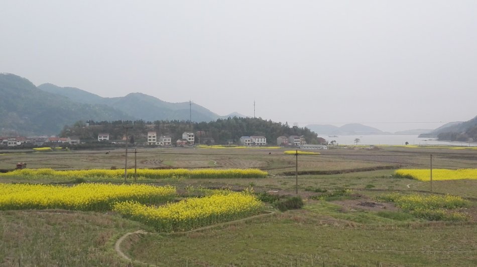 001EFHzpgy70jZndUms78