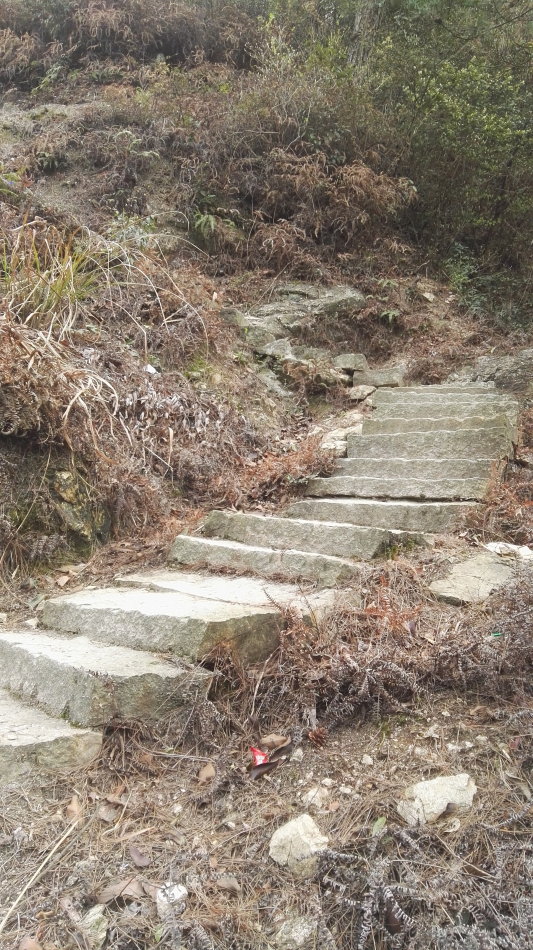 001EFHzpgy70jZo2NOQa4