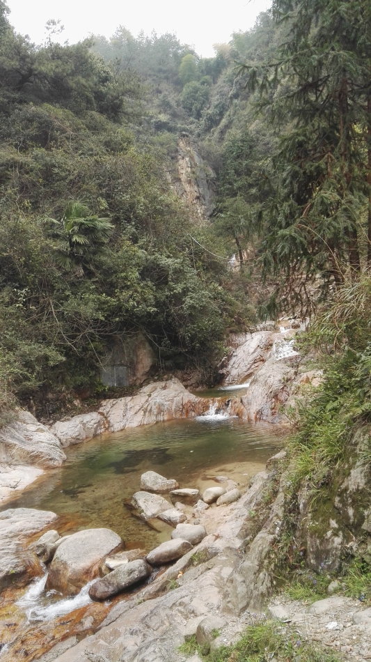 001EFHzpgy70jZqfBjE9e