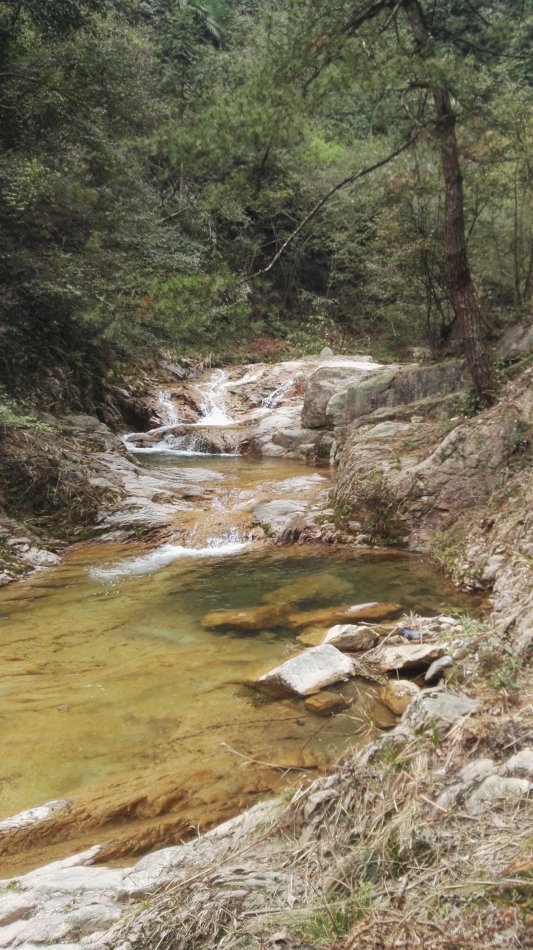 001EFHzpgy70jZrbPQ5e1