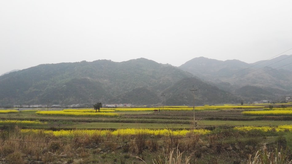 001EFHzpgy70k2603zab0