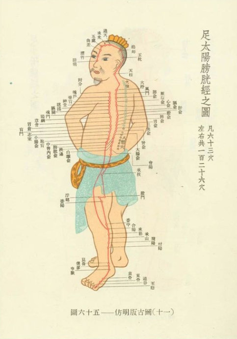 001EFHzpgy717LNGInA86