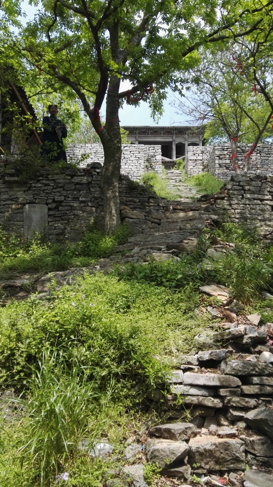 001EFHzpgy712HLN9vMde